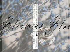 백업&스포 포함]Blooming Blue