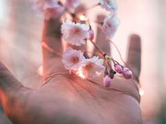 메이데이와 박사요라의 이야기