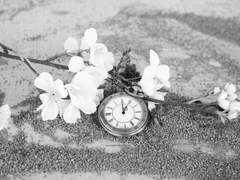 시간을 달려서. 뒷 이야기