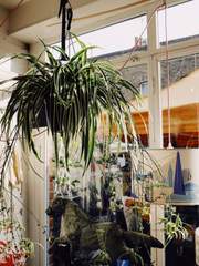 이 정도면 자취방이 아니라 가취방