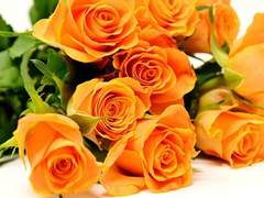 [연숩] 나의 도련님