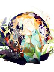 야채가 자라는 대륙