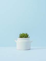 [육섭] 장르는 로맨스로!