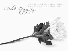 내일은 내일의 죽음이 있다 - Cedric Diggory & Cho Chang