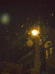 십이월 이십오일의 고백