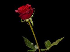 2/8 스팁토니 전력 - I wanna go out with you