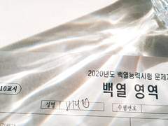 백열온 SUNNYSIDE 통판 공지