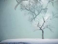 ff14 망자의 궁전 등장 엔피시