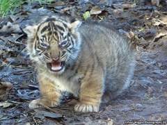 안녕하새오. 제 이름은 태형이애요.