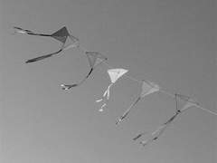 날리지 못할 연