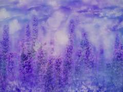 My Little Forest 下