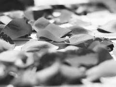 본질을 가지고 있는 사람이니까요. 우린 인형이 아니잖아?