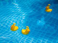 수영장 오필리아 3화