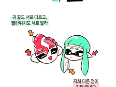 차이점