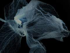 [김군영재] You, who do you hate?