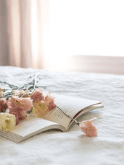 문호 스트레이 독스-다자츄