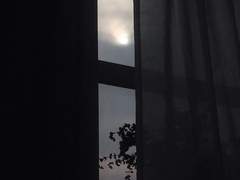 흑생백살(黑生白殺)_ 1