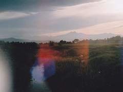 기억은 재능이야*