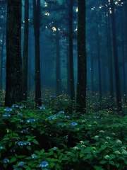 [세종] 푸른 불빛 아래서 完