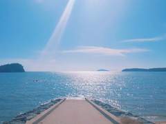 별이 내리는 바다 外