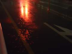 그것은 삶이 될 수 없다.