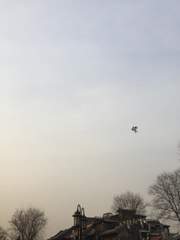 랑야방 금릉, 소택