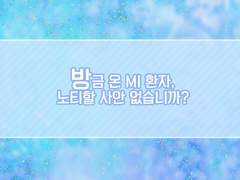 하선우《나비는 희망을 꿈꾸며 잠든다》