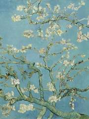 2월의 아몬드 나무