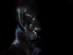 1. 그들이 사는 세상