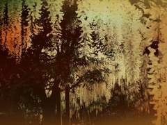 썰백업) 깃털뽑기