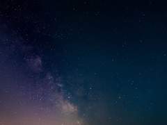 [에스테반 S. 서머셋 / XY / 순혈 ]