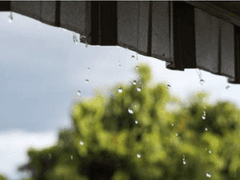 [히지오키] 비 오는 날