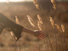 [FF14] 내 속엔 내가 너무도 많아서