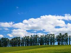 단조로운 삶, 그리고 포만감.