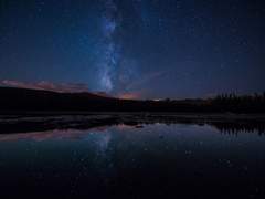 왜 우는 것일까.