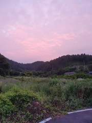 어느 상담사가 들려주는 일상