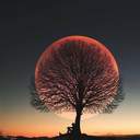 시작의 빛은 늘 이야기의 끝에서부터