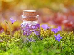 Atelier 「Switch」