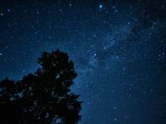 호쿠스바썰 백업