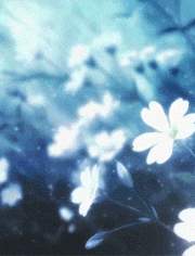 신의 안사람 [휴재]