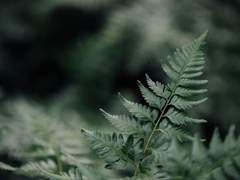 [마블_토니 스타크 드림] 이별