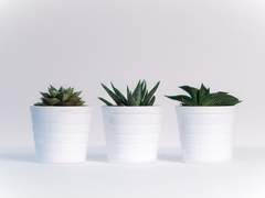 [마블_스티브 로저스 드림] 새로운 경쟁자