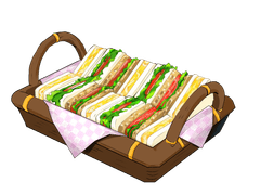 밤하늘을 보기 전