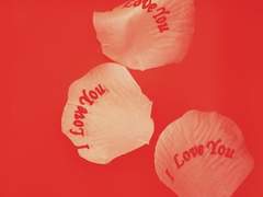 Happy Valentines Day