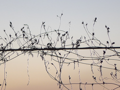 악마의 계약서는 만기되지 않는다 / 리러하