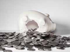 여포장비; 적립형 소원