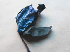 그 모험은 오롯 당신의 것이니.