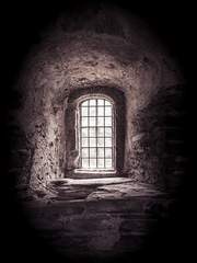 ㄹㅂㅅ 시끄러워!