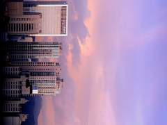 상실에 대하여 (1)