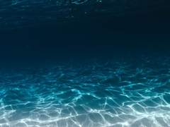 [현제유현] 수면 3